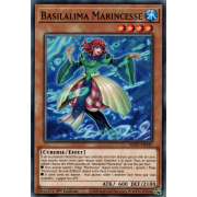 MP21-FR047 Basilalima Marincesse Commune