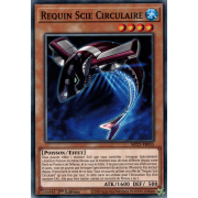 MP21-FR055 Requin Scie Circulaire Commune