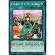 MP21-FR082 Cabrioles Florissantes Commune