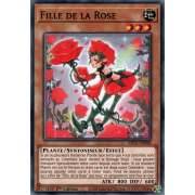 MP21-FR088 Fille de la Rose Commune