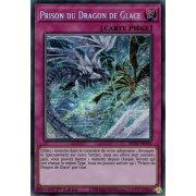 MP21-FR155 Prison du Dragon de Glace Prismatic Secret Rare