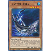 MP21-EN054 Lantern Shark Commune