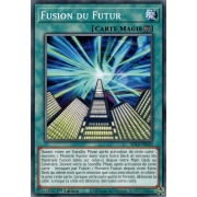 SDCS-FR029 Fusion du Futur Commune