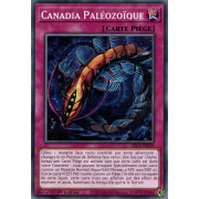 SDCS-FR039 Canadia Paléozoïque Commune