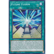 SDCS-EN029 Future Fusion Commune
