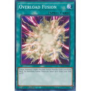 SDCS-EN048 Overload Fusion Commune
