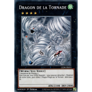 LED8-FR055 Dragon de la Tornade Commune