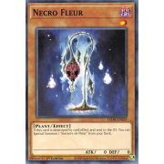 LED8-EN029 Necro Fleur Commune