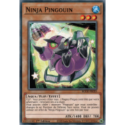BODE-FR025 Ninja Pingouin Commune