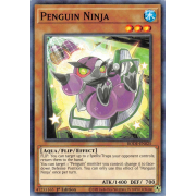 BODE-EN025 Penguin Ninja Commune