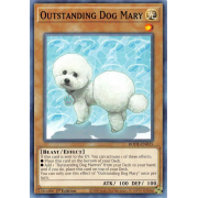 BODE-EN035 Outstanding Dog Mary Commune