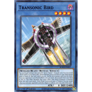 BODE-EN037 Transonic Bird Commune