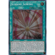BODE-EN065 Sunvine Sowing Super Rare