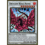 MGED-FR026 Dragon Rose Noire Premium Gold Rare