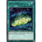 MGED-FR148 Cynet Minage Rare (Or)