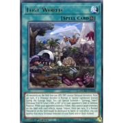 MGED-EN058 Lost World Rare (Or)