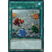 BROL-FR089 Recherche de Fossiles Ultra Rare