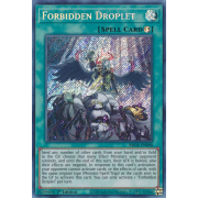 BROL-EN090 Forbidden Droplet Secret Rare