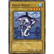 SDY-011 Great White Commune