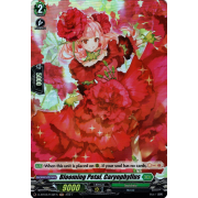 D-BT03/H42EN Blooming Petal, Caryophyllus Holo (H)