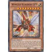RYMP-EN014 Winged Kuriboh LV9 Rare