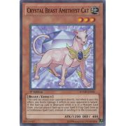 RYMP-EN041 Crystal Beast Amethyst Cat Super Rare