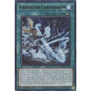 GRCR-EN023 Exosister Carpedivem Rare