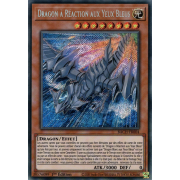 BACH-FR004 Dragon à Réaction aux Yeux Bleus Secret Rare