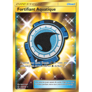 SL02_161/145 Fortifiant Aquatique Secret Rare