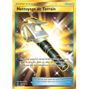 SL02_163/145 Nettoyage de Terrain Secret Rare