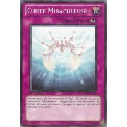 SDLS-FR037 Chute Miraculeuse Commune