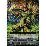 D-VS04/082EN Anthurium Musketeer, Gastone Triple Rare (RRR)