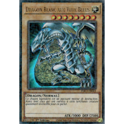 Dragon Blanc aux Yeux Bleus, Wiki Yu-Gi-Oh!