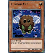 HAC1-FR013 Kuriboh Ailé Commune