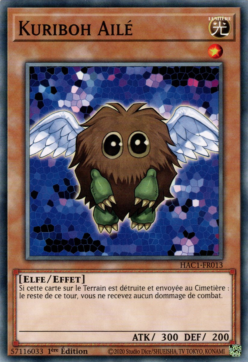 HAC1-FR013 Kuriboh Ailé Commune