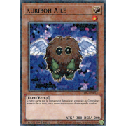 HAC1-FR013 Kuriboh Ailé Duel Terminal Normal Parallel Rare