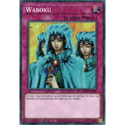 HAC1-FR026 Waboku Duel Terminal Normal Parallel Rare