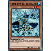 HAC1-FR030 Guerrier du Blizzard Commune