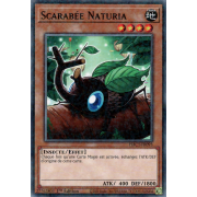 HAC1-FR093 Scarabée Naturia Duel Terminal Normal Parallel Rare