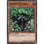 HAC1-FR095 Gardien Naturia Duel Terminal Normal Parallel Rare