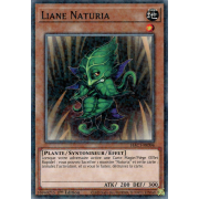 HAC1-FR096 Liane Naturia Duel Terminal Normal Parallel Rare