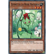 HAC1-FR099 Épinette la Rose Naturia Duel Terminal Normal Parallel Rare