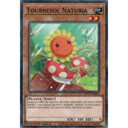 HAC1-FR102 Tournesol Naturia Duel Terminal Normal Parallel Rare