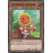 HAC1-FR102 Tournesol Naturia Duel Terminal Normal Parallel Rare