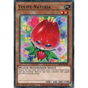 HAC1-FR104 Tulipe Naturia Duel Terminal Normal Parallel Rare