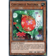 HAC1-FR109 Coccinelle Naturia Duel Terminal Normal Parallel Rare