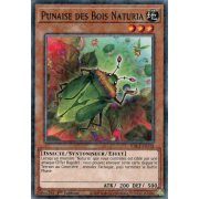 HAC1-FR112 Punaise des Bois Naturia Duel Terminal Normal Parallel Rare