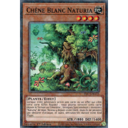 HAC1-FR115 Chêne Blanc Naturia Duel Terminal Normal Parallel Rare