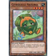 HAC1-FR117 Citrouille Naturia Duel Terminal Normal Parallel Rare