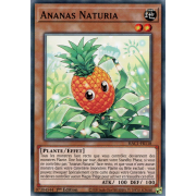 HAC1-FR118 Ananas Naturia Commune